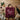 Schürze Team Bollicine gefaltet auf einem Holztisch mit Rotwein und Weingläsern, Geschenkidee - Vinclick #Vitigno_Bollicine