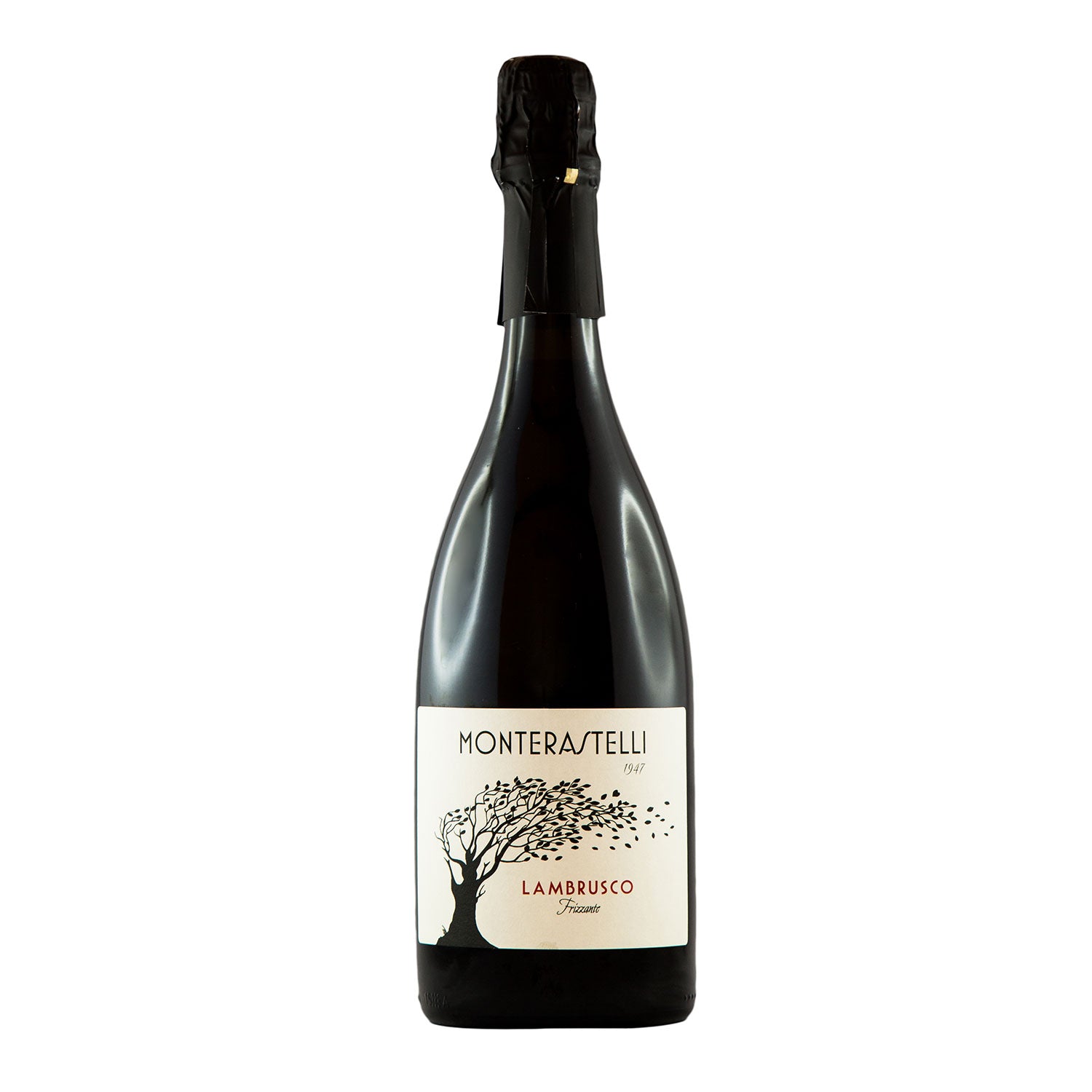 Lambrusco Emilia IGT Biologico "Monterastelli" - Val Testa
