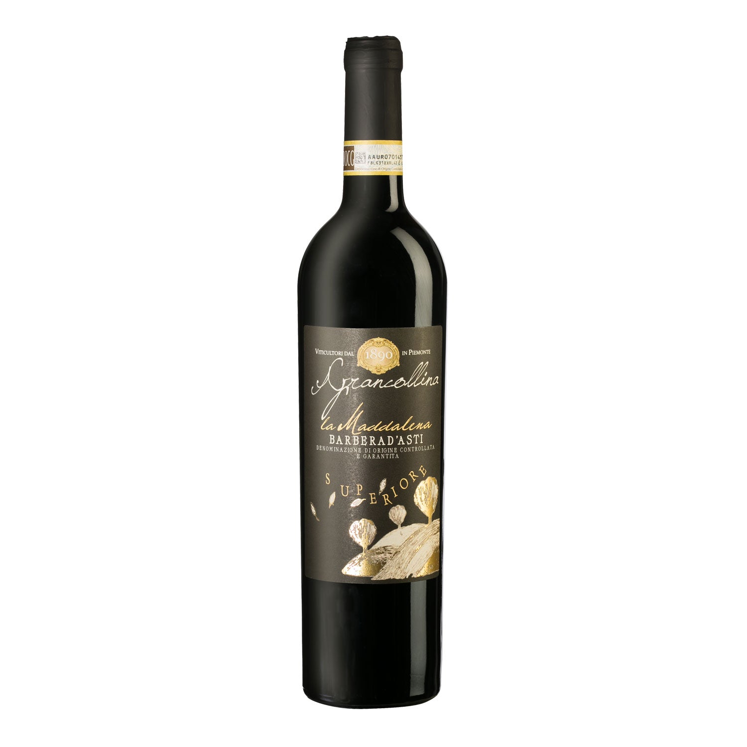 Barbera d'Asti Superiore DOCG "La Maddalena" 2017 - Grancollina