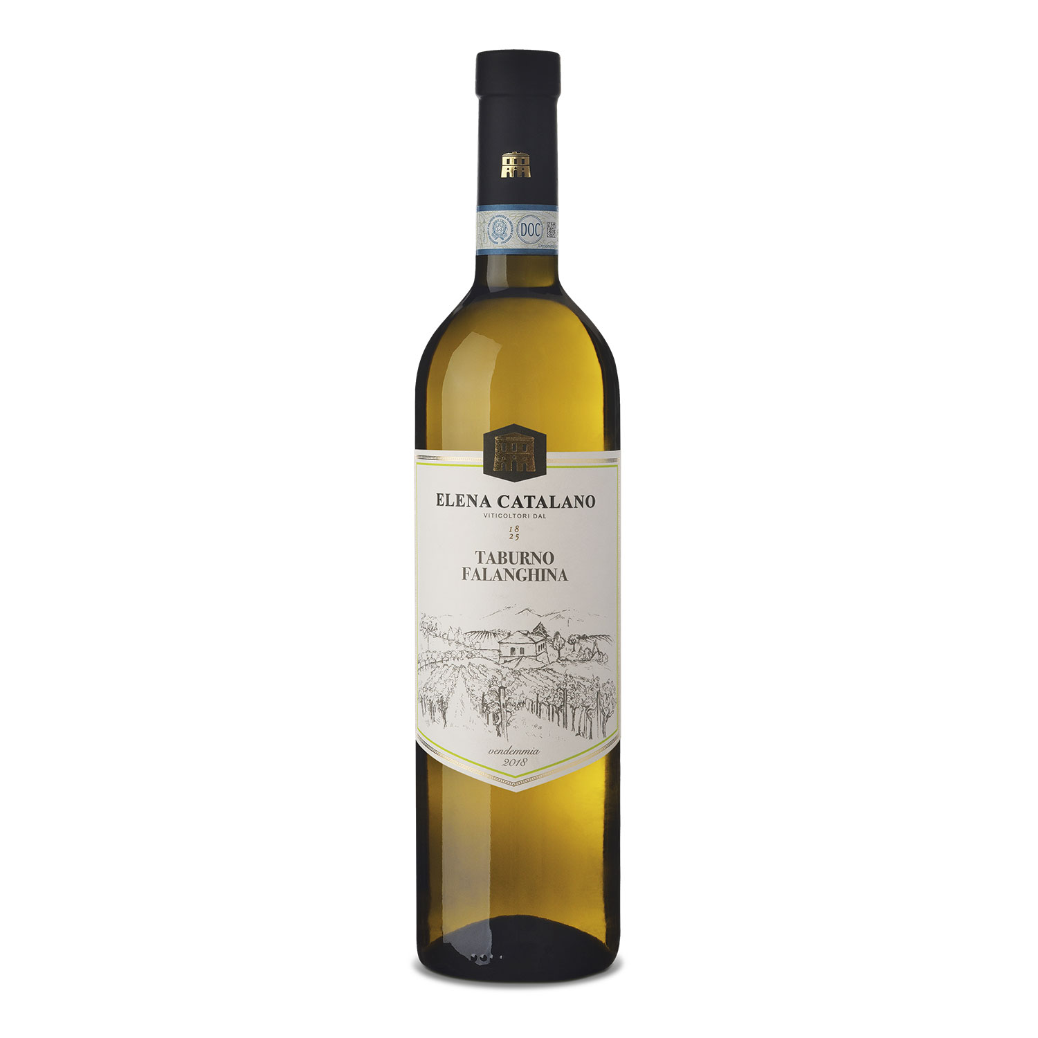 Falanghina del Sannio Taburno DOC 2018 - Elena Catalano Falanghina del Sannio Taburno DOC 2018 - Elena Catalano