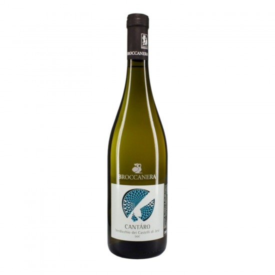 Verdicchio dei Castelli di Jesi D.O.C. "Cantaro" - Broccanera Verdicchio dei Castelli di Jesi D.O.C. "Cantaro" - Broccanera